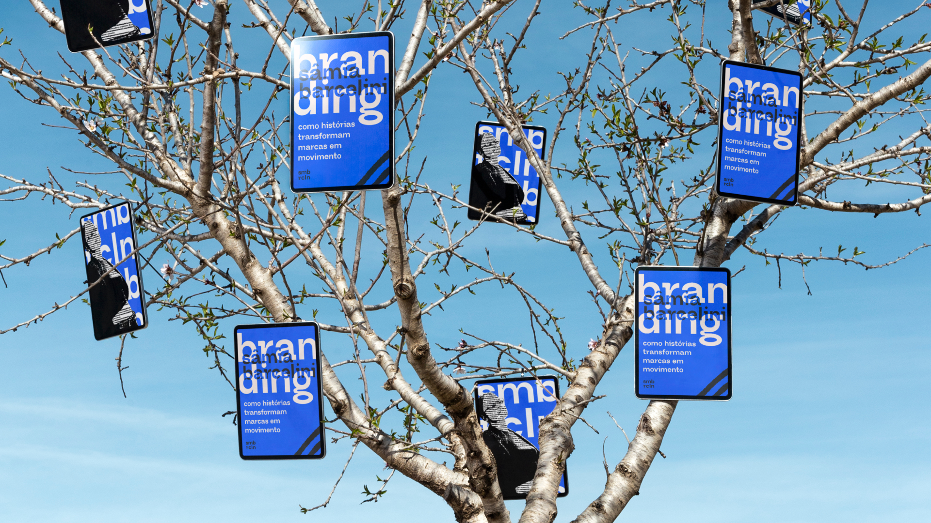 Aplicação do projeto